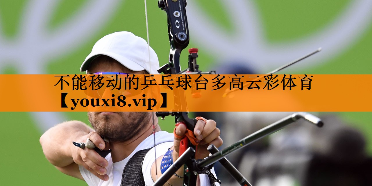 不能移动的乒乓球台多高云彩体育
