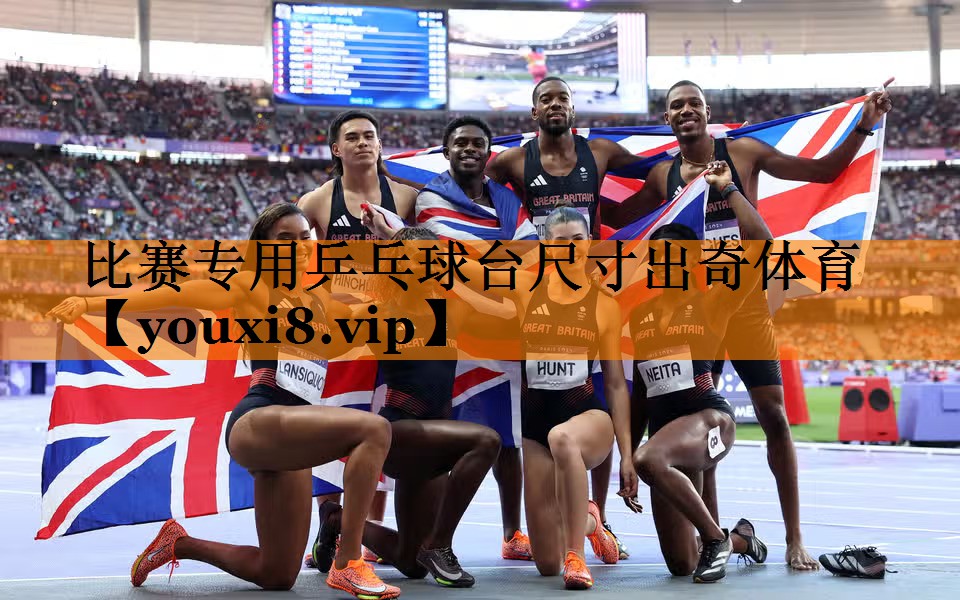比赛专用乒乓球台尺寸出奇体育