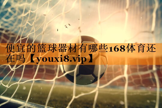 便宜的篮球器材有哪些168体育还在吗