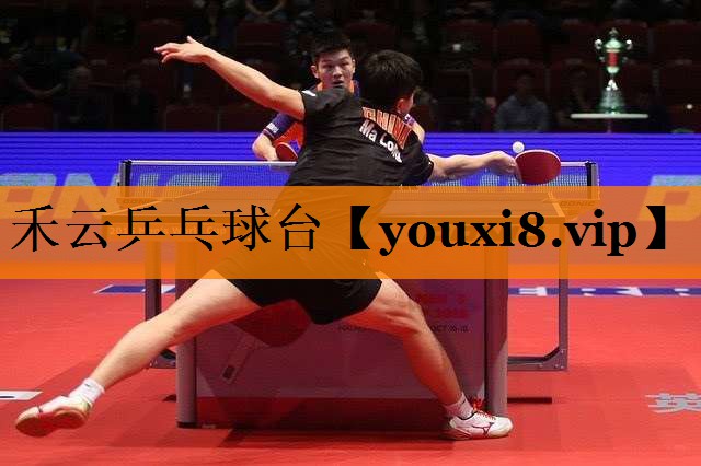 禾云乒乓球台 禾云乒乓球台