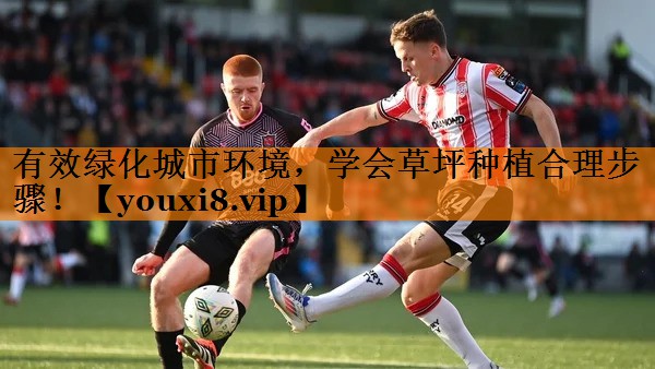 有效绿化城市环境，学会草坪种植合理步骤！