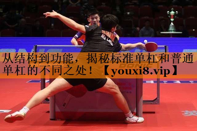 从结构到功能,揭秘标准单杠和普通单杠的不同之处! 从结构到功能,揭秘标准单杠和普通单杠的不同之处!