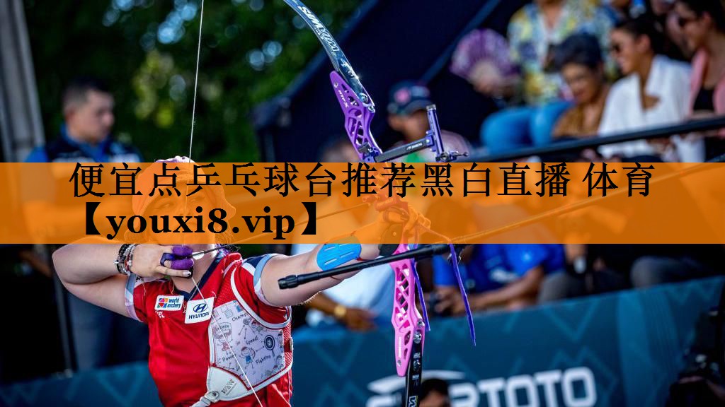 便宜点乒乓球台推荐黑白直播 体育