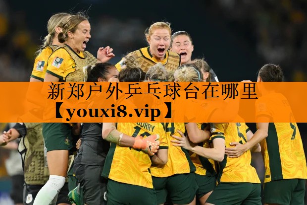 新郑户外乒乓球台在哪里