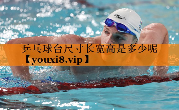 乒乓球台尺寸长宽高是多少呢