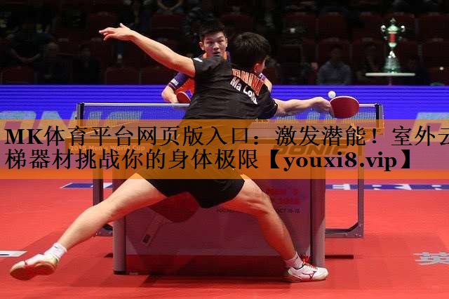 MK体育平台网页版入口：激发潜能！室外云梯器材挑战你的身体极限