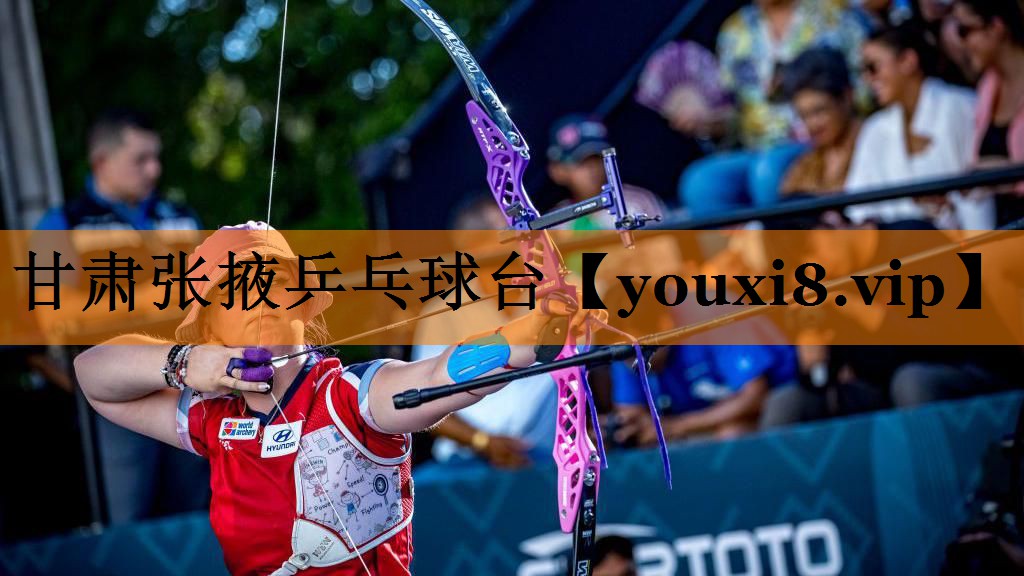 甘肃张掖乒乓球台