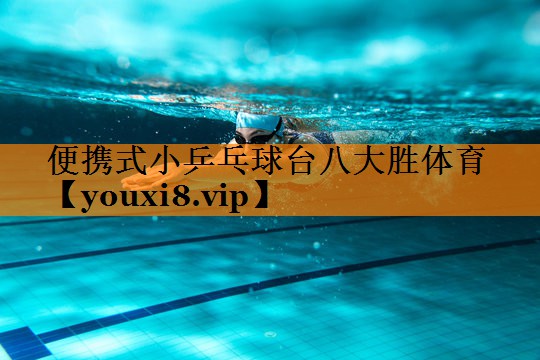 便携式小乒乓球台八大胜体育