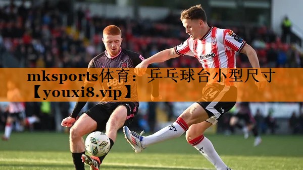 mksports体育：乒乓球台小型尺寸