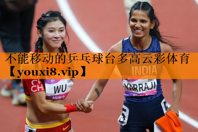 不能移动的乒乓球台多高云彩体育