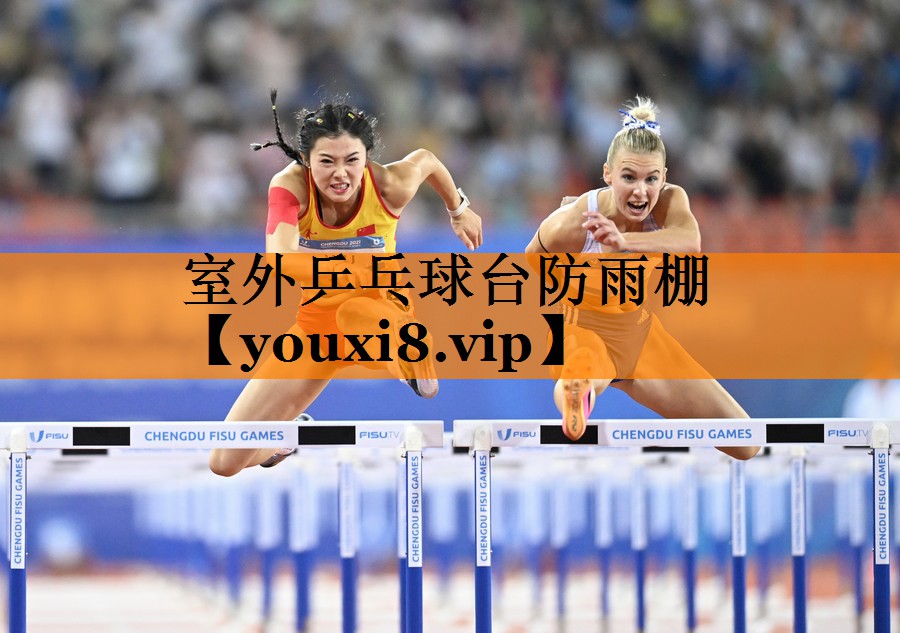 室外乒乓球台防雨棚