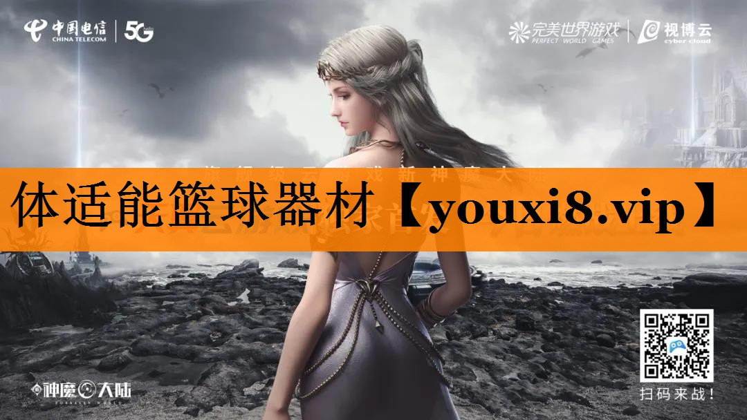 体适能篮球器材