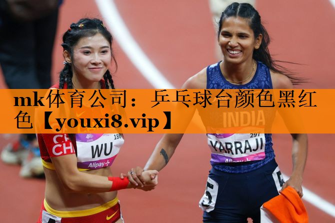 乒乓球台颜色黑红色 乒乓球台颜色黑红色