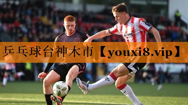 乒乓球台神木市 乒乓球台神木市