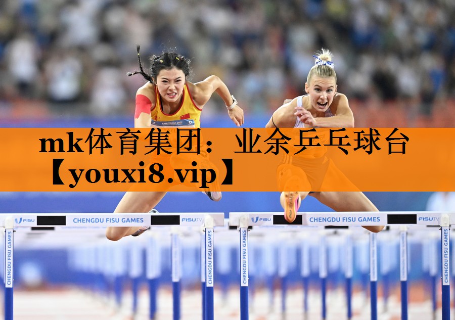 业余乒乓球台 业余乒乓球台