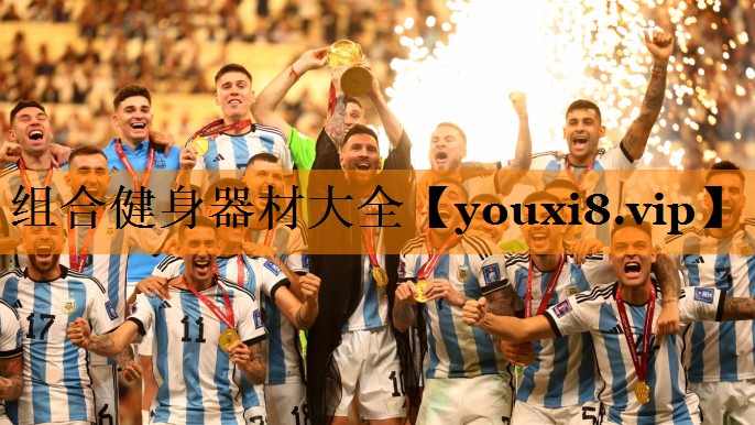 组合健身器材大全 组合健身器材大全