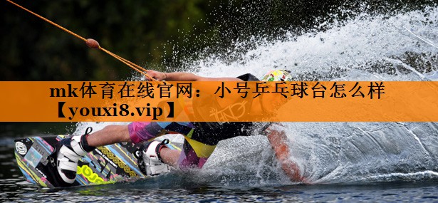 小号乒乓球台怎么样 小号乒乓球台怎么样
