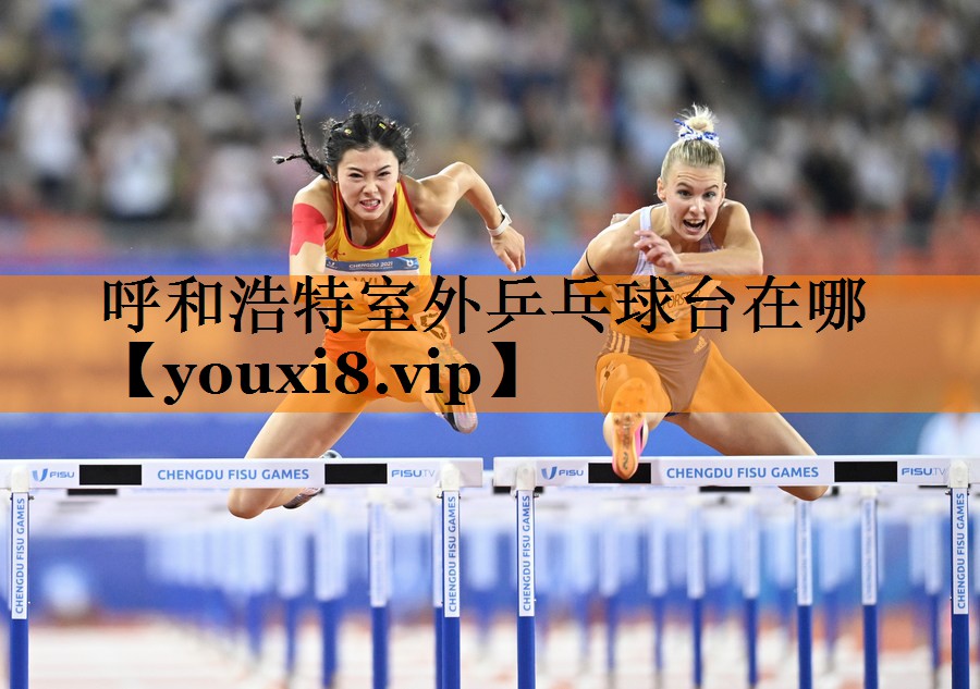呼和浩特室外乒乓球台在哪 呼和浩特室外乒乓球台在哪