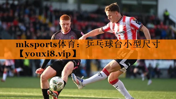 乒乓球台小型尺寸 乒乓球台小型尺寸