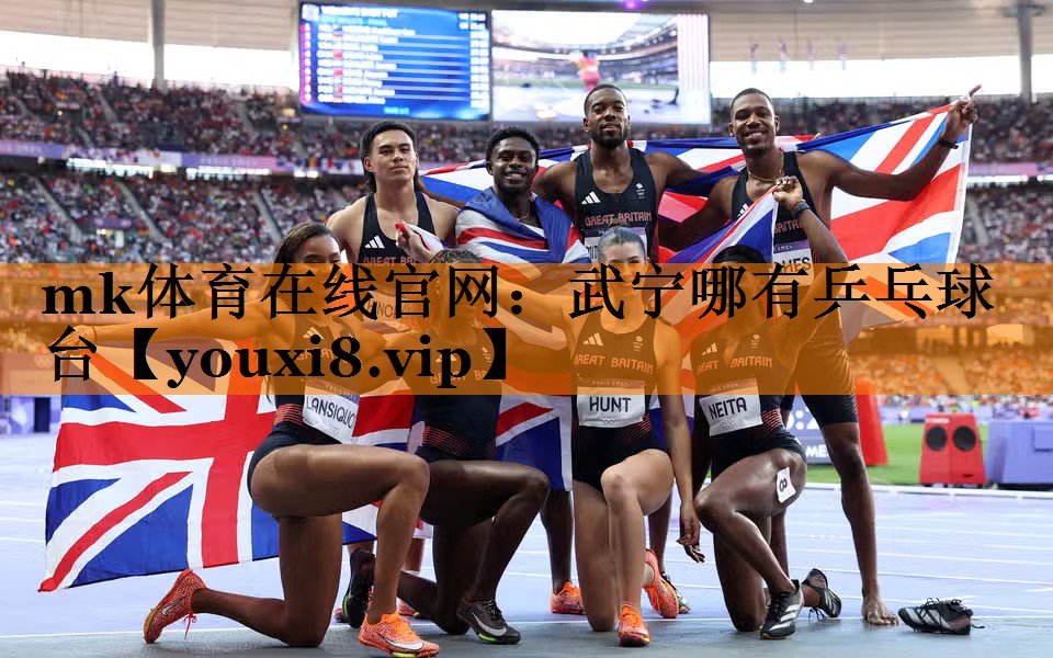 武宁哪有乒乓球台 武宁哪有乒乓球台