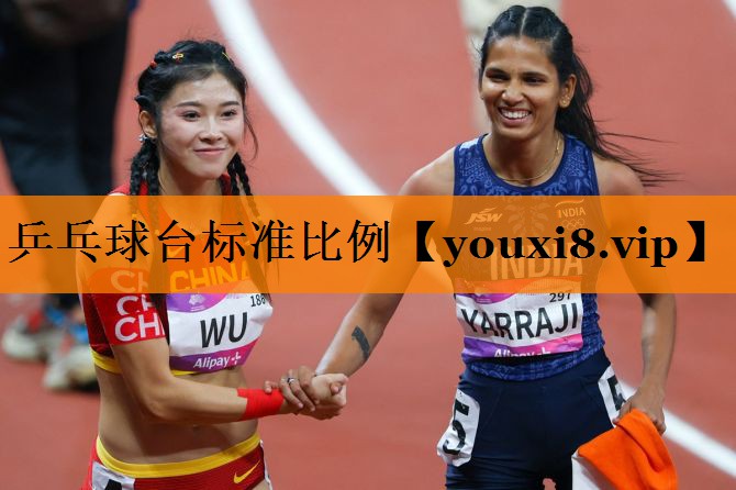 乒乓球台标准比例 乒乓球台标准比例