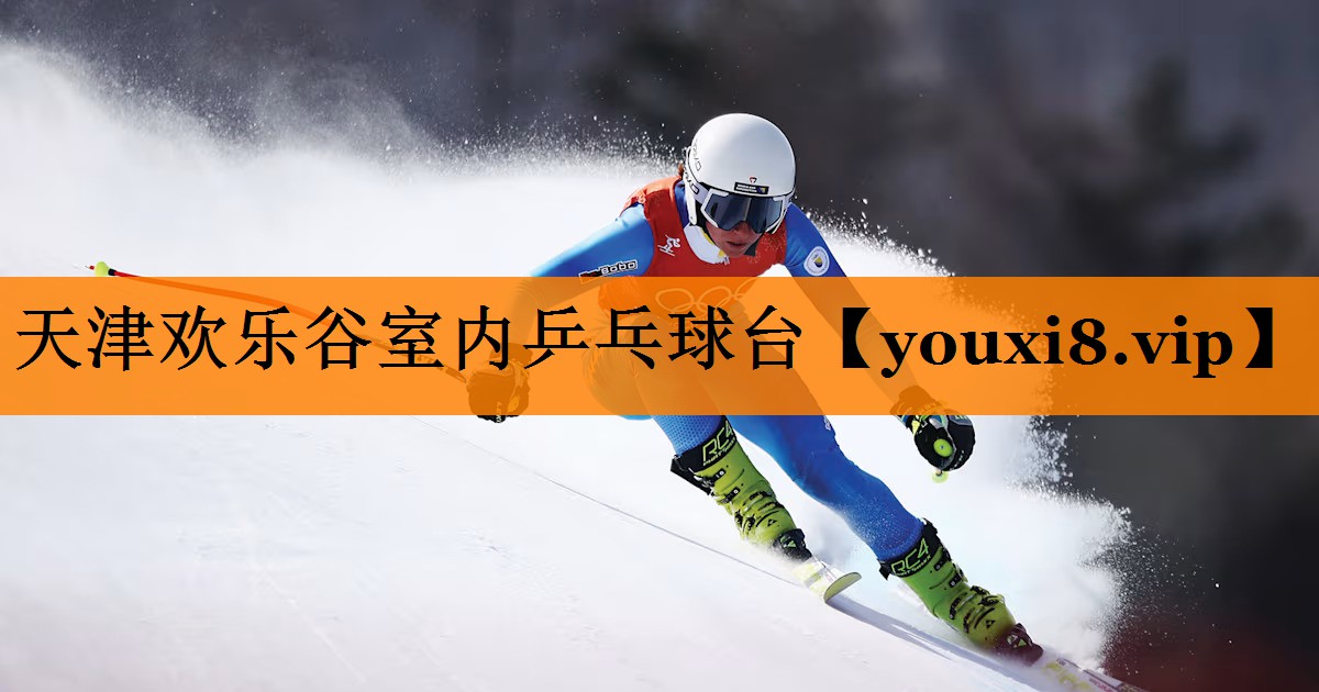 天津欢乐谷室内乒乓球台 天津欢乐谷室内乒乓球台