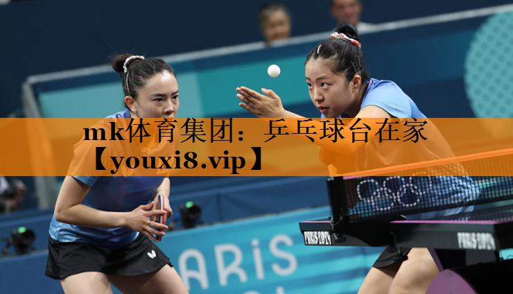 乒乓球台在家 乒乓球台在家
