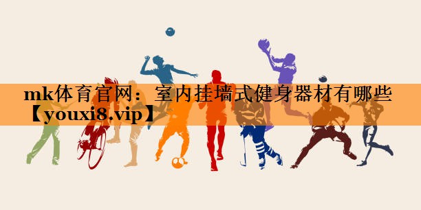 室内挂墙式健身器材有哪些