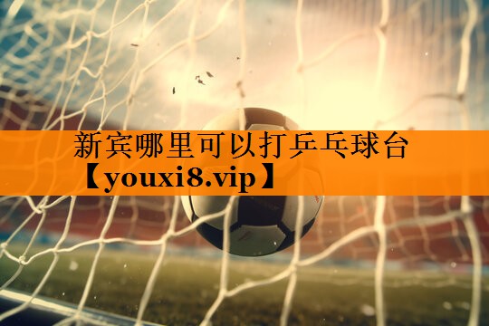 新宾哪里可以打乒乓球台
